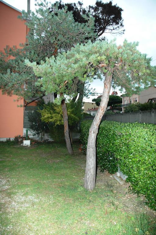 Villa Linda Affittacamere Bellaria-Igea Marina Exteriör bild